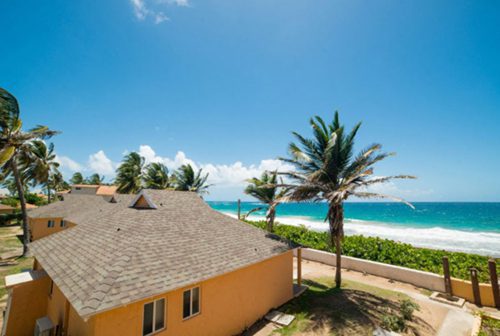 sugarbay sugarbay